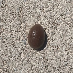 Easter Egg wax melts $20 for 30